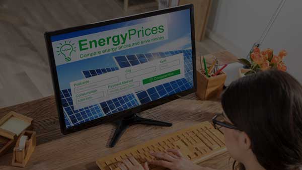 Ein Computerbildschirm mit einer Tabelle zur Energiepreisentwicklung